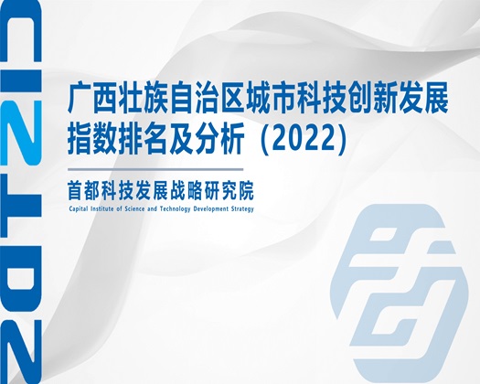 痒了想被狠艹在线看【成果发布】广西壮族自治区城市科技创新发展指数排名及分析（2022）